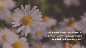 Bible Verse Wallpaper for Your Peaceful Soul 4k