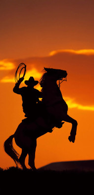 Cowboy on Horse in Dusty Trail