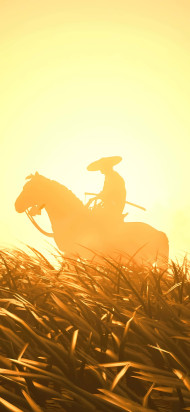 Cowboy With Sunset in Background
