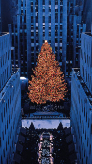 Cozy Christmas Tree with Presents Photo to Enjoy