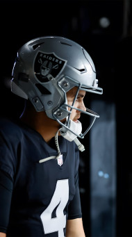 Exclusive Raiders Picture in 4K Quality for Your Mobile Screen