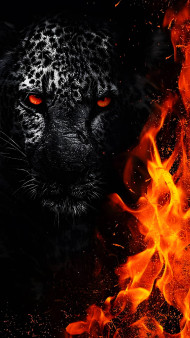 Fire leopard Tiger  Wallpaper For Mobile
