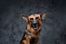 Fresh Goofy Ahh Image for PC Background