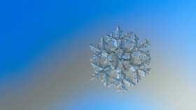 Frosty Snow Crystal Image