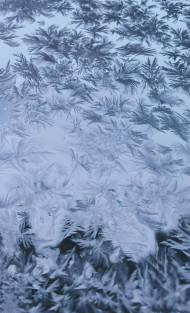 Frosty Snowflake Art Photo