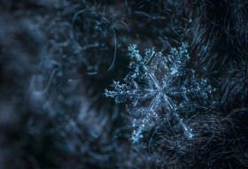 Frosty Snowflake Magic Wallpaper
