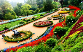 Gorgeous Floral Garden Desktop Wallpaper