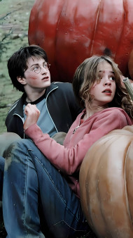 Harry Potter Mobile Wallpaper Ultra HD Picture