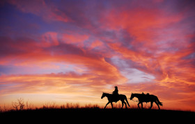High Resolution Cowboy Image for Desktop Screen