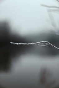 Icy Snow Flake Art Wallpaper