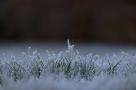 Icy Snow Flake Shine Image