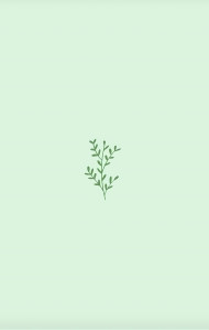 Light Sage Green Minimalist Background