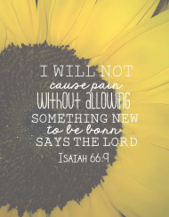 Motivating Bible Verse for Daily Devotion
