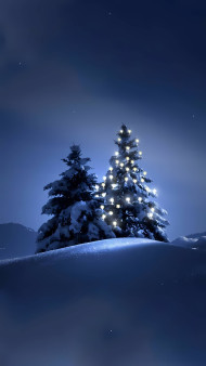 Peaceful Christmas Night Photo to Relax Your Mind
