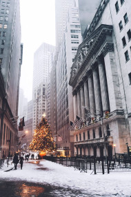 Peaceful Christmas Snowfall Photo to Calm Your Mind