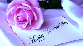 Pink Roses Valentine Day Desktop Wallpaper