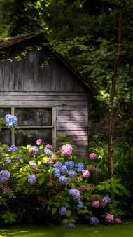 Refreshing Botanical Garden Photo in 4K