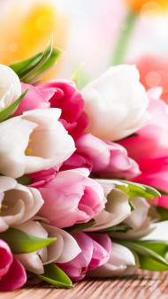 Romantic Flower Mobile Wallpaper in 4K