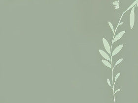 Simple Sage Green Background for Computer