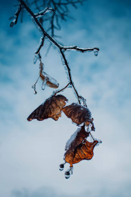 Snow Crystal Magic Photo