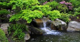 Vibrant Plants Desktop Botanical Garden 4K Wallpaper