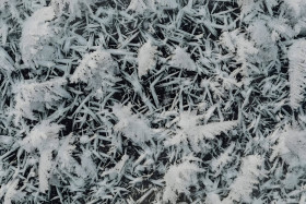 Winter Snow Flake Glow Image