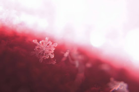 Winter Snowflake Magic Photo